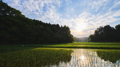 【千葉テレビ】学生が撮影・提供した写真が使用されました。