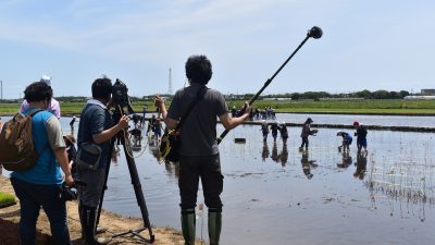 【千葉県PR公式チャンネル】「田んぼアート in 山武市」を企画・運営したことが紹介されました。