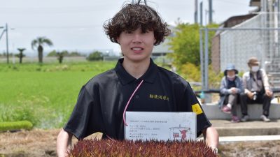 【千葉日報】「田んぼアート in 山武市」の鑑賞祭について紹介されました。