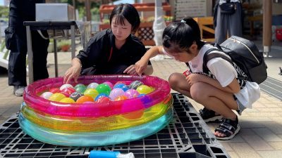 【朝日新聞】「田んぼアート in 山武市」の鑑賞祭について紹介されました。