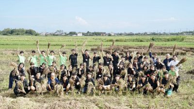 【千葉日報】「田んぼアート in 山武市」の稲刈りについて紹介されました。