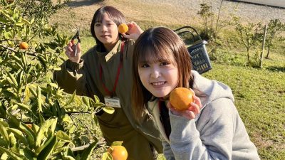 愛のみかんドレッシングがさらに美味しくなります！